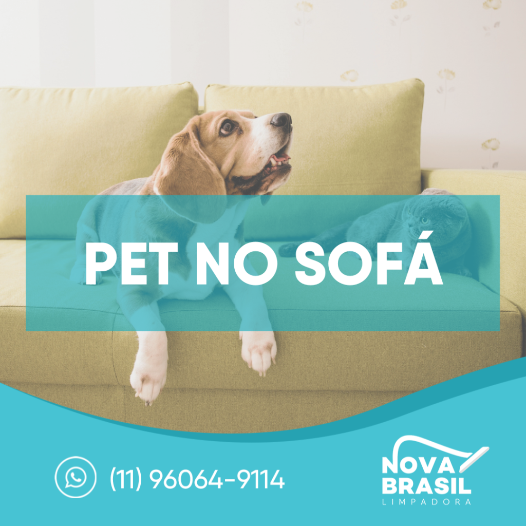 Pet e Sofá